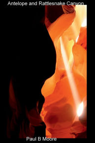 Title: Antelope and Rattlesnake Canyon, Author: Paul Moore