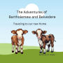 The Adventures of Bartholemew and Belvedere
