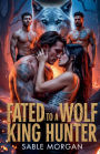 Fated to a wolf king hunter: A second chance secret baby enemies to lovers shifters romance