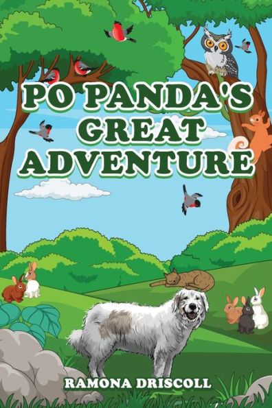 Po Panda's Great Adventure
