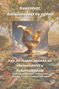 Title: Szeretett, kiválasztott és egész - Egy 30 napos utazás az elutasítástól a helyreállításig: Egy 30 napos utazás az elutasítástól a helyreállításig, Author: Zacharias Godseagle