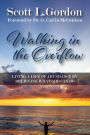 Walking in the Overflow