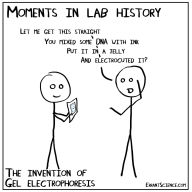 Title: Sally and the Big Lab Experiment: A Gel of a Time!, Author: Riyan Jain