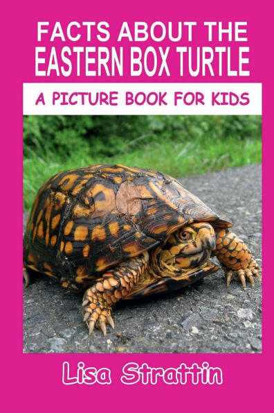Facts About the Eastern Box Turtle
