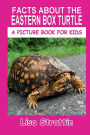 Facts About the Eastern Box Turtle