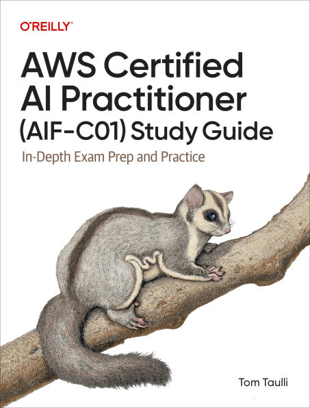 AWS Certified AI Practitioner (Aif-C01) Study Guide: In-Depth Exam Prep and Practice