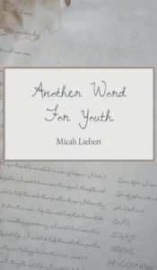 Title: Another Word For Youth: A collection of Poetry and Short Stories, Author: Micah Liebert