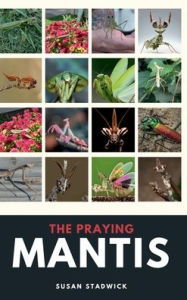 Title: The Praying Mantis, Author: Susan R. Stadwick