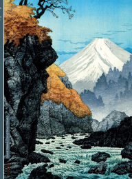 Title: Password Journal Hiroaki Takahashi Art Foot of Mount Ashitaka Internet Planner Manager Website Keeper Book For Passwords: Hardcover 8.5x11 Internet Login Keeper Webpage Logbook Notebook List Book For Usernames Data Organizer Management, Author: Password Registry