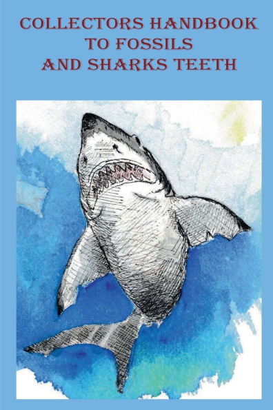 Collectors Handbook to Fossils and Shark Teeth