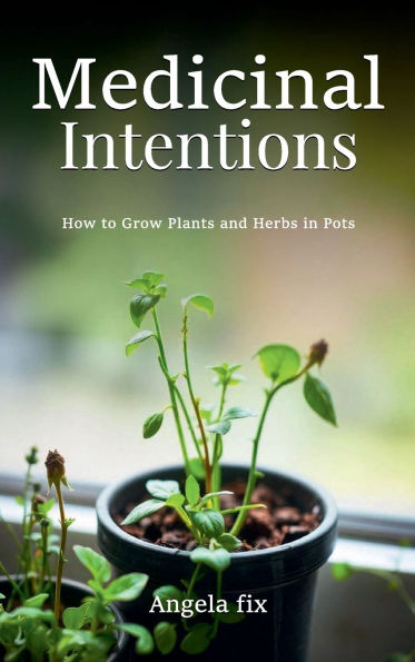 MEDICINAL INTENTIONS: HOW TO GROW PLANTS AND HERBS IN POTS