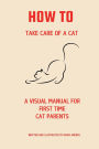 How to Take Care of a Cat: A Visual Guide for First Time Cat Parents