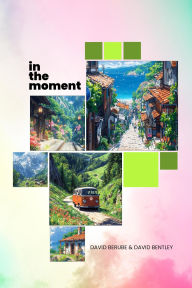 Title: in the moment, Author: David Berube