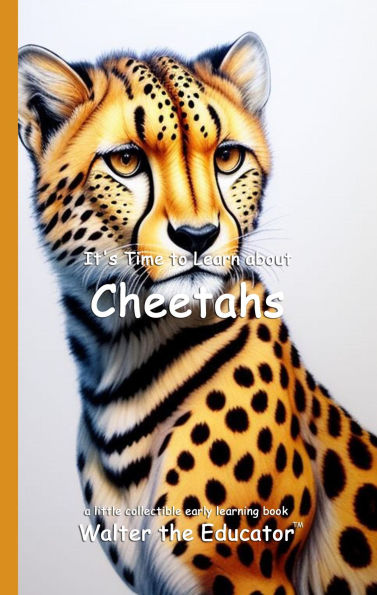 It's Time to Learn about Cheetahs