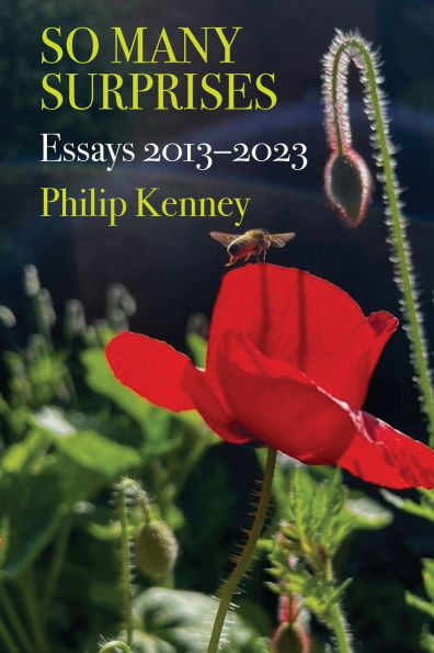 So Many Surprises: Essays 2013-2023