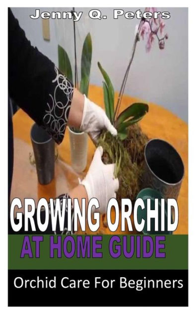 Growing Orchid At Home Guide: Orchid Care For Beginners By Jenny Q 