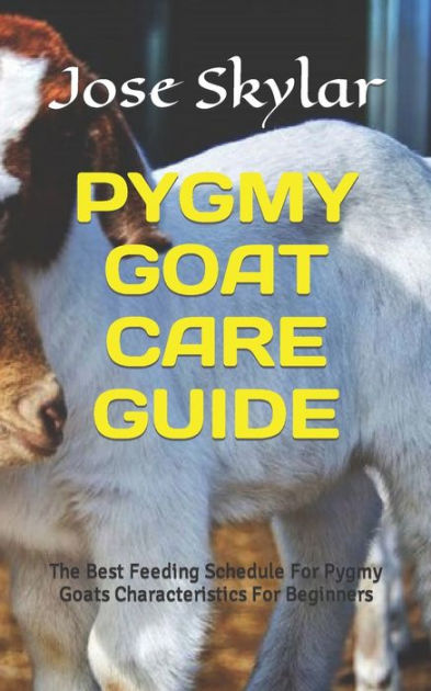 pygmy-goat-care-guide-the-best-feeding-schedule-for-pygmy-goats