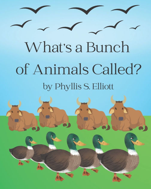 What's a Bunch of Animals Called? by Phyllis S. Elliott, Paperback Barnes & Noble®