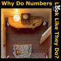 Why Do Numbers Look Like They Do?: (Dust Bunnies give you a clue)