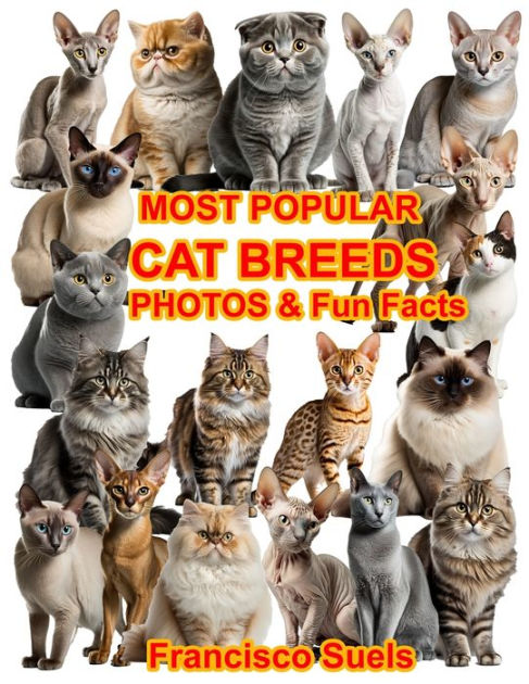 The Ultimate Guide to the Most Popular Cat Breeds with Pictures