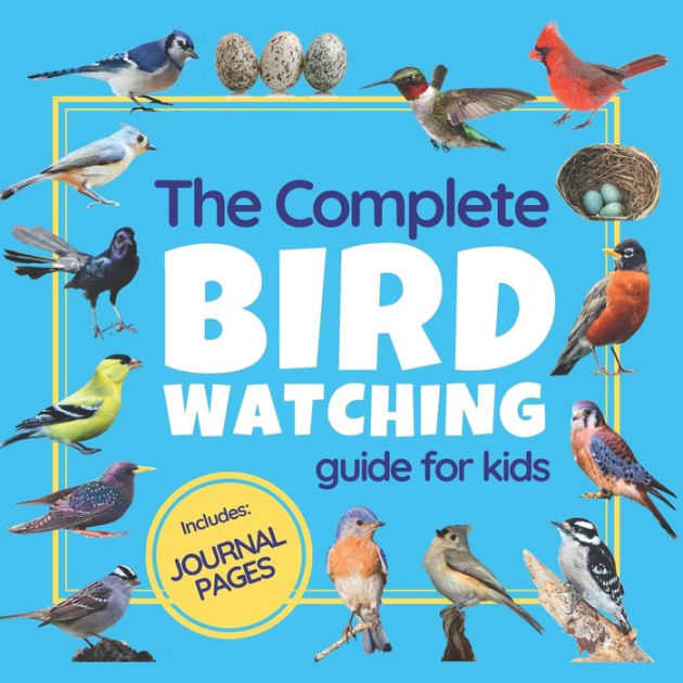 The Most Popular Birds Of North America: Bird Watching Guide For Kids 