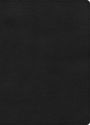 CSB Study Bible, Large Print, Digital Study Edition, Black LeatherTouch, Indexed