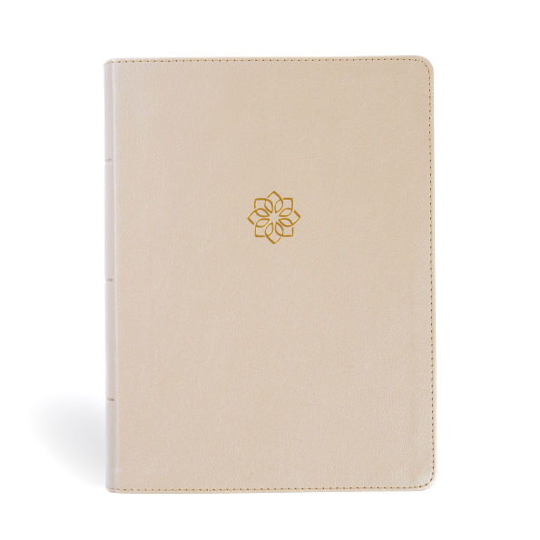 CSB Study Bible, Large Print, Digital Study Edition, Gold LeatherTouch, Indexed