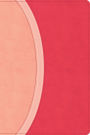 CSB Rainbow Study Bible, Pink LeatherTouch (Limited Edition)