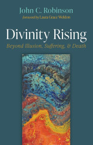 Title: Divinity Rising, Author: John C Robinson