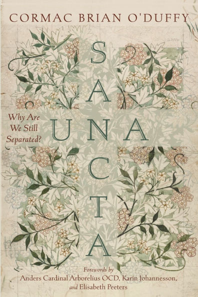 Una Sancta: Why Are We Still Separated?