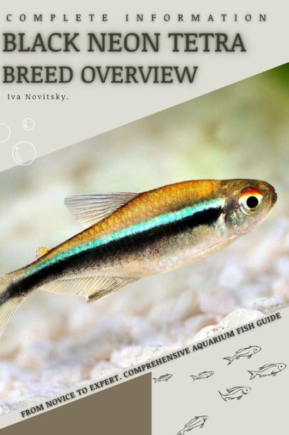 Neon Tetra Care: Expert Guide For Aquarists