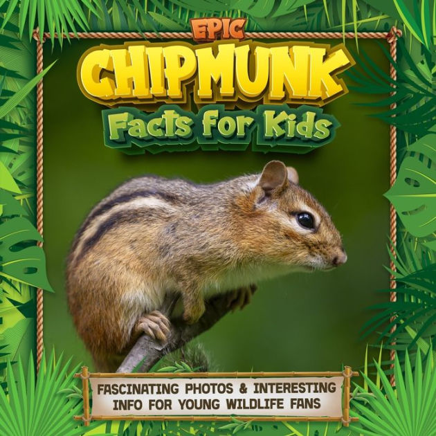 Epic Chipmunk Facts for Kids: Fascinating Photos & Interesting Info for