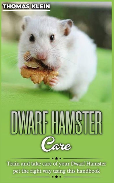 How to Care for a Pet Dwarf Hamster