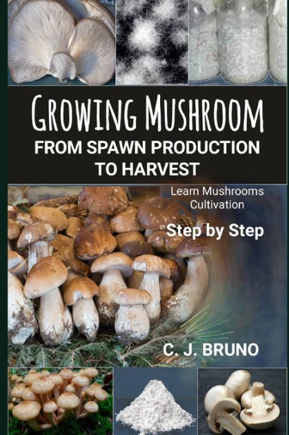 Growing Mushroom From Spawn Production To Harvest: Learn Mushrooms 