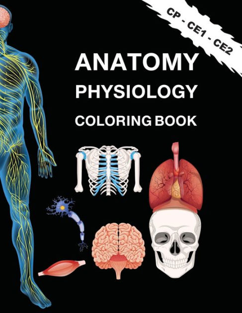 Anatome Physiologie Livre de coloriage pour les enfants ï½ducation