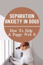 Separation Anxiety In Dogs: How To Help A Puppy With It: