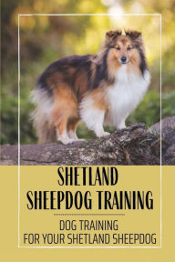 Title: Shetland Sheepdog Training: Dog Training For Your Shetland Sheepdog:, Author: Jerrell Dulek