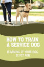 How To Train A Service Dog: Learning If Your Dog Is Fit For: