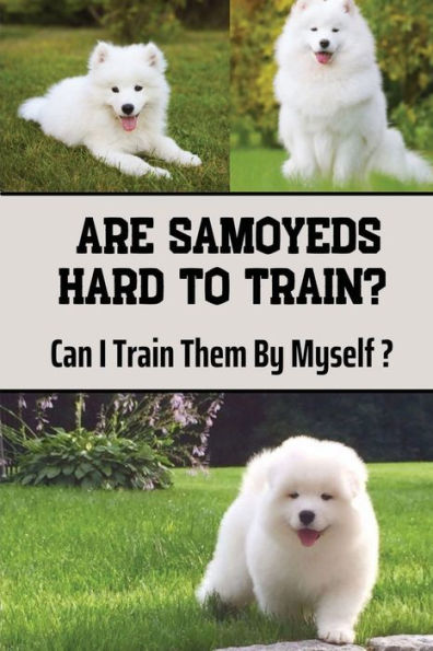 Are Samoyeds Hard To Train?: Can I Train Them By Myself?: