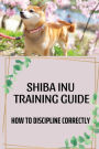 Shiba Inu Training Guide: How To Discipline Correctly: