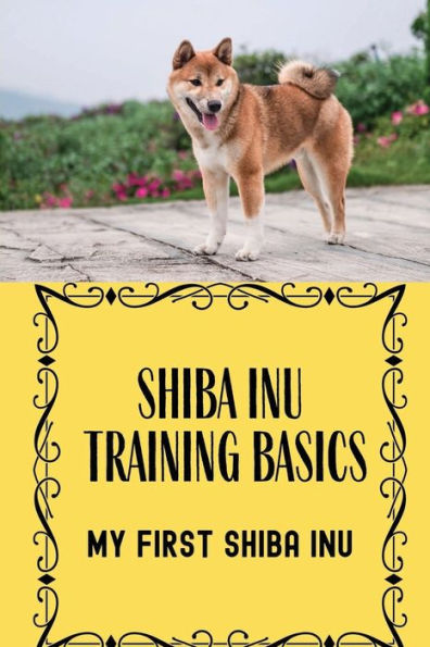 Shiba Inu Training Basics: My First Shiba Inu: