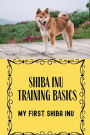 Shiba Inu Training Basics: My First Shiba Inu: