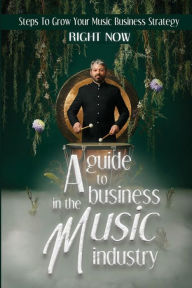 Title: A Guide To Business In The Music Industry: Steps To Grow Your Music Business Strategy Right Now:, Author: Robin Imel