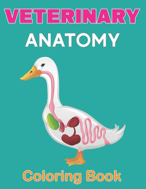 Veterinary Anatomy Coloring Book A Anatomy Magnificent Learning