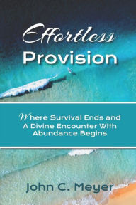 Title: Effortless Provision: Where Survival Ends and A Divine Encounter With Inspiration Begins, Author: John Meyer