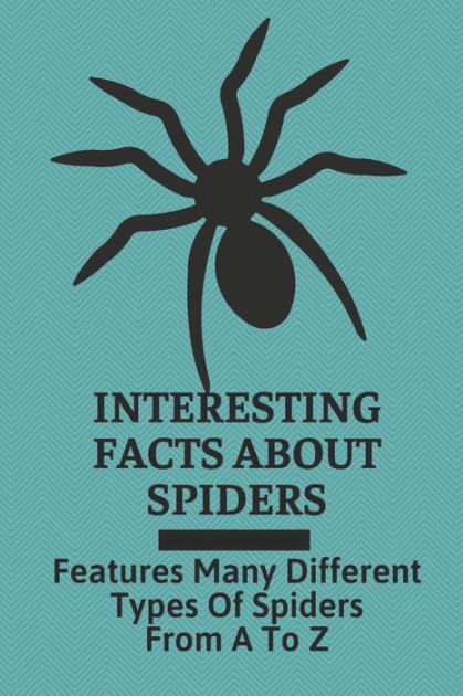 Types of Spiders with Interesting Facts