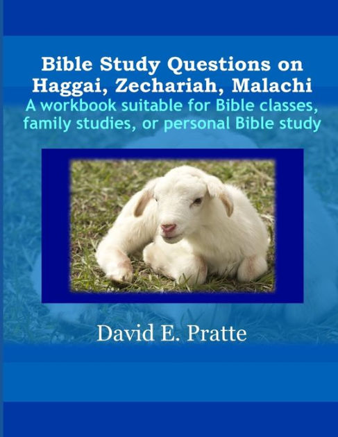 bible-study-questions-on-haggai-zechariah-malachi-a-workbook