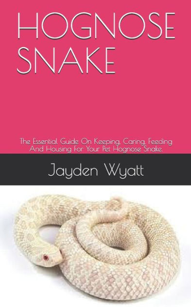 A Guide to Caring for Hognose Snakes as Pets