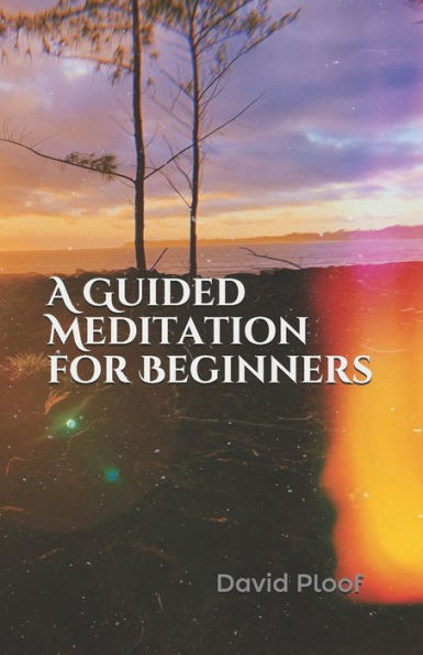 A Guided Meditation For Beginners By David Ploof, Paperback | Barnes ...