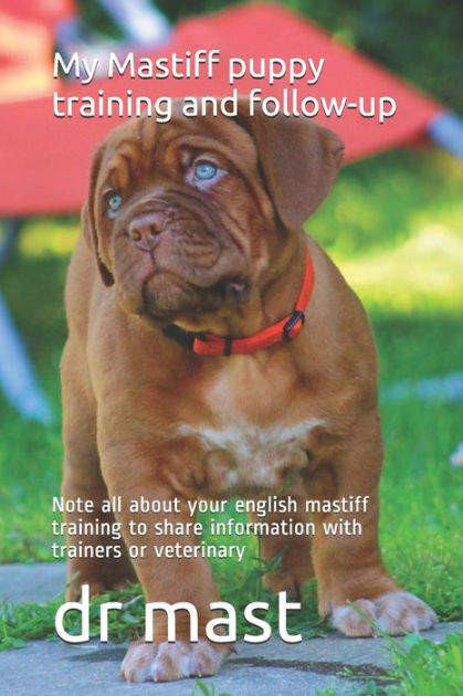 how much should i feed my french mastiff